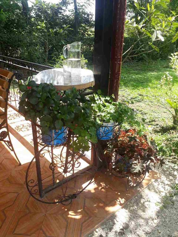 Guest House Danelia مارتيفيلي المظهر الخارجي الصورة